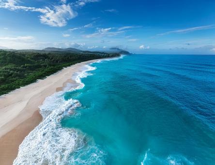 エメラルドグリーンの海と白い砂浜と森林 エメラルドグリーンの海と白い砂浜と森林の写真
