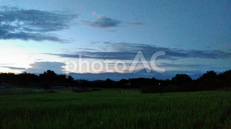 富士山と田園・夏の夜明け 風景,耕作地,木の写真素材