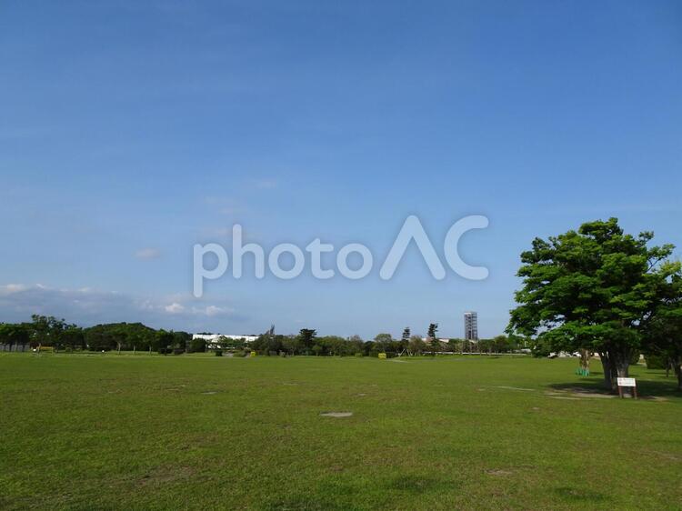 浜名湖ガーデンパーク広場２ 浜名湖ガーデンパーク,公園,浜松の写真素材
