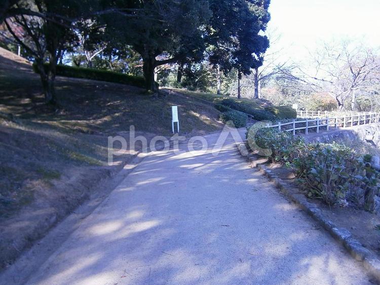 公園　自然　秋 田舎,景色,秋の写真素材