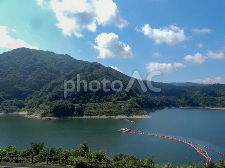 山 山,緑,植物の写真素材
