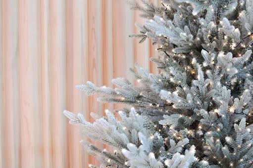 Photo, christmas tree, light up, christmas, 