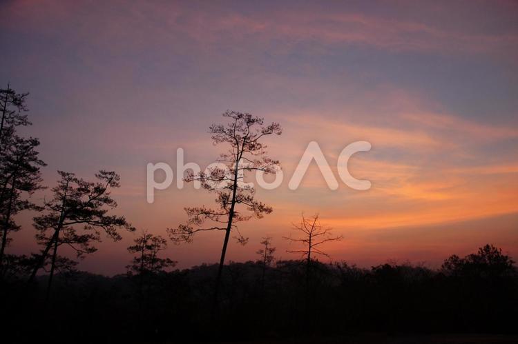タイの田舎の早朝 田舎,暗い,オレンジの写真素材