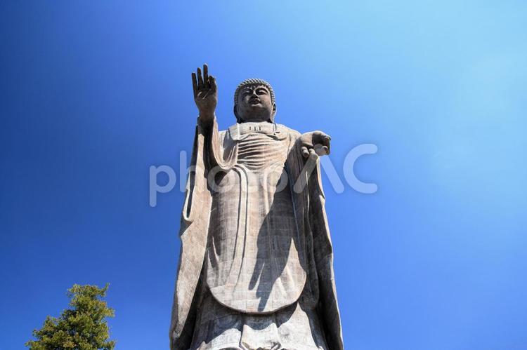 青空を背景にした巨大な牛久大仏 牛久大仏,牛久阿弥陀大仏,牛久市の写真素材