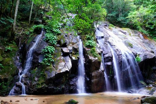 神秘なる夏の水辺(金引きの滝) 神秘なる夏の水辺(金引きの滝)の写真