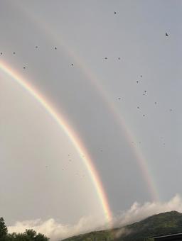二重虹と飛び立つ鳥たち(縦) 二重虹と飛び立つ鳥たち(縦) 二重の虹,虹,ダブルレインボーの写真素材