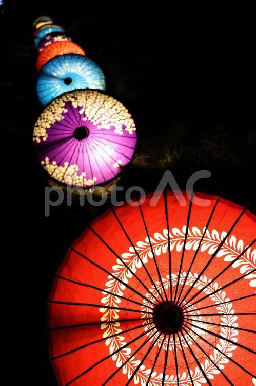 １１月中旬の栗林公園の和傘のライトアップ 背景,和傘,傘の写真素材