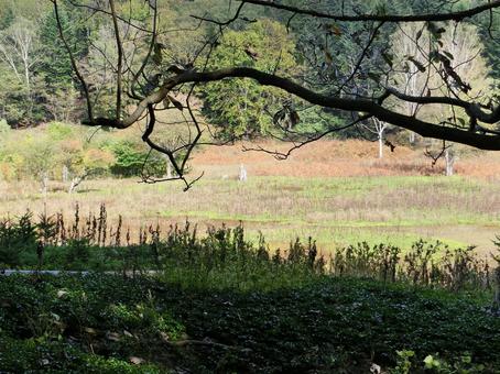 洞爺湖の中島自然道の写真