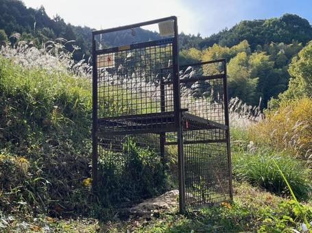 箱わな 箱わな,獣害,はこ罠の写真素材