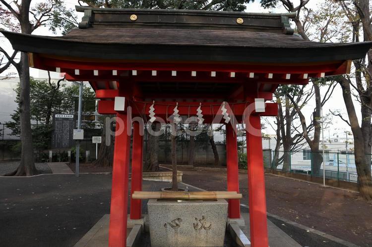 大田区　久が原西部八幡神社　手水舎 パワースポット,八幡神社,公園の写真素材