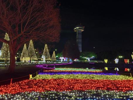 ライトアップされた公園 光,ライトアップ,輝くの写真素材