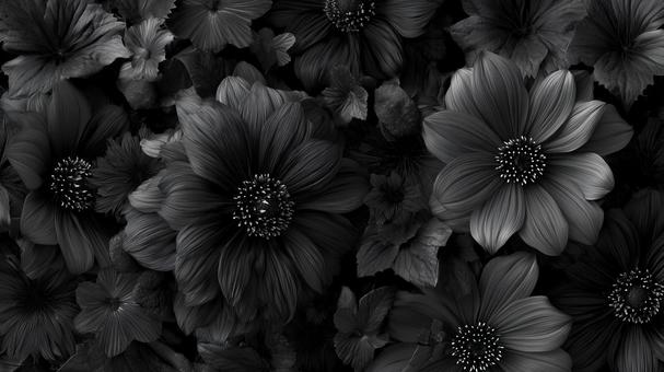 黒の花の背景 黒の花の背景の写真