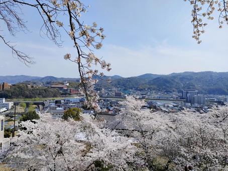 津山城からの眺め 津山城からの眺めの写真