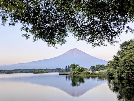 夕暮れの田貫湖に映る富士山 夕暮れの田貫湖に映る富士山 富士山,夕暮れ,自然の写真素材