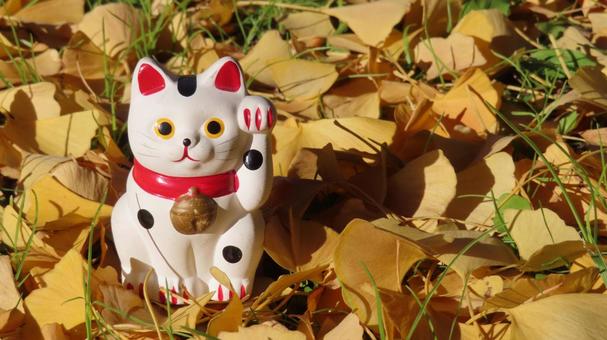 招き猫　銀杏の黄葉 招き猫,縁起物,置物の写真素材