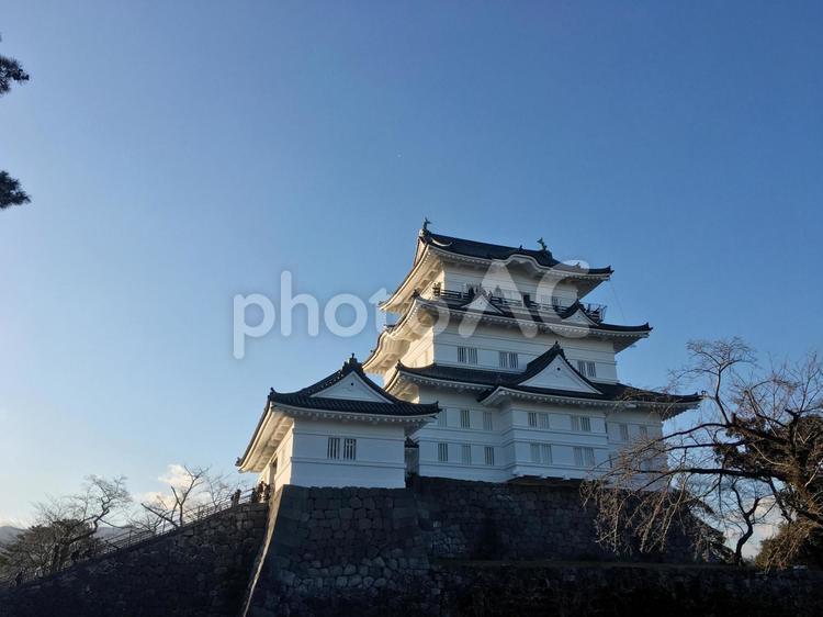 夕暮れの小田原城 小田原城,城,石垣の写真素材