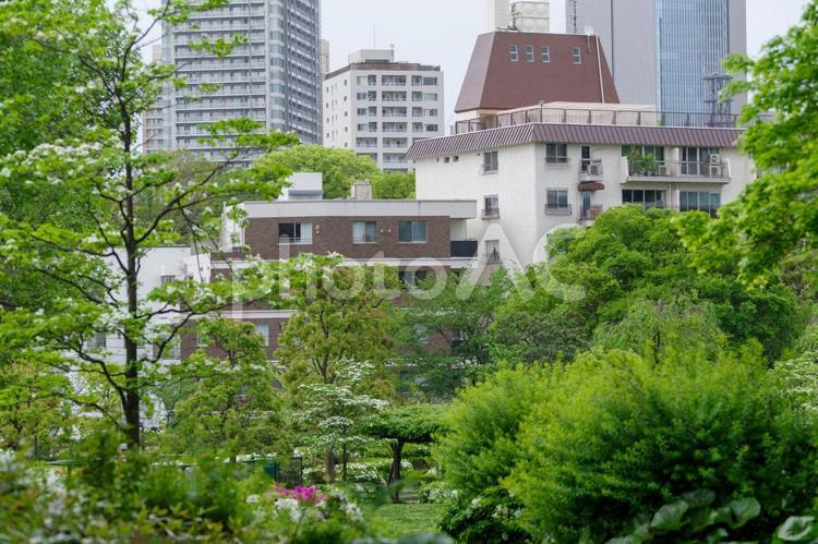緑に囲まれた都会の風景 緑,マンション,ビルの写真素材