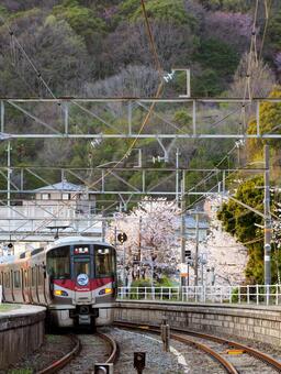 桜 桜,電車,線路の写真素材
