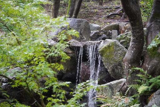滝から落ちる水 滝,水,自然の写真素材