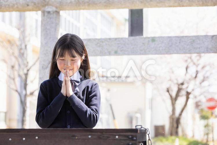 神社で手をあわせる女の子 神社,願う,合掌の写真素材