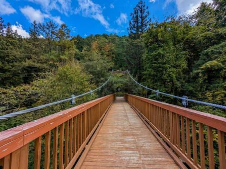 烏川渓谷緑地の清流 清流,ハイキング,マイナスイオンの写真素材