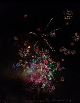 花火(カラフル) 花火(カラフル)の写真