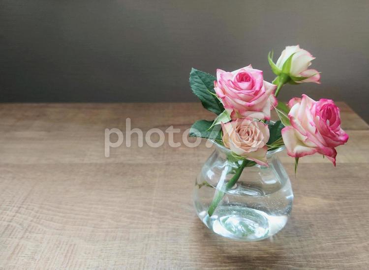 小さなガラスの花瓶に挿したスプレーバラ② 花,薔薇,テーブルの写真素材