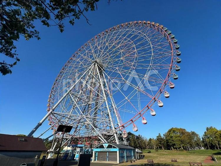 葛西臨海公園の観覧車 観覧車,青空,葛西臨海公園の写真素材