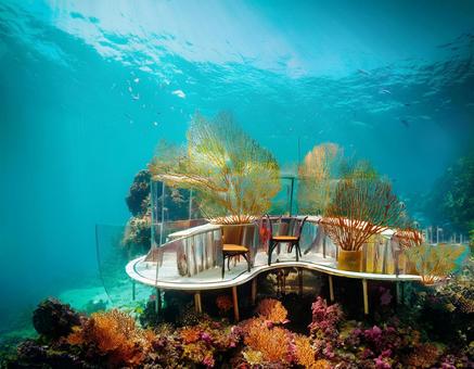 海中のレストラン 海中のレストランの写真