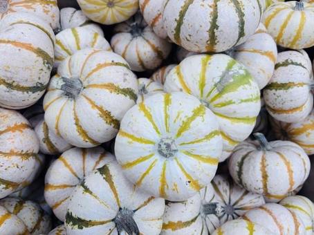 いろいろなかぼちゃ３ カボチャ,ハロウィン,秋の写真素材