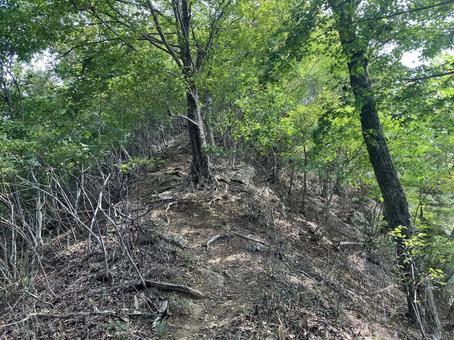 菊花山のハイキング風景 菊花山,ハイキング,山梨の写真素材
