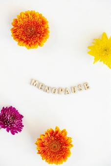 「MENOPAUSE」の文字とガーベラの花 生理,月経,menopauseの写真素材