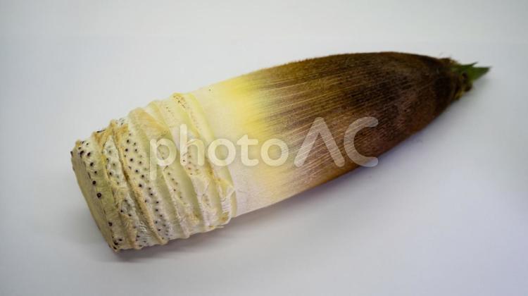 タケノコ　皮むき タケノコ,筍,春の写真素材