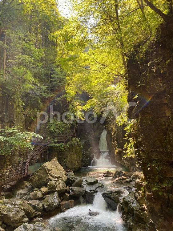 滝と光と虹と 滝,虹,木漏れ日の写真素材