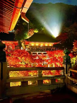 ライトアップした清水寺と紅葉の写真素材 紅葉,清水寺,ライトアップの写真素材