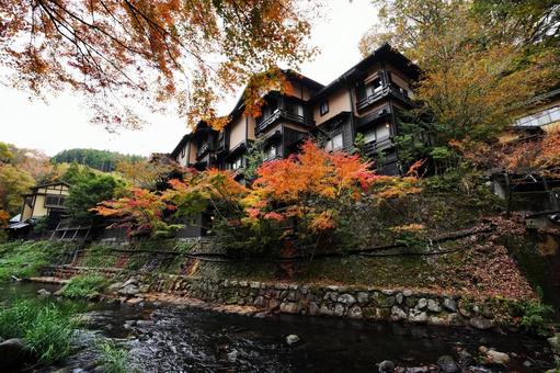 熊本 黒川温泉街を流れる田の原川5 黒川温泉,紅葉,モミジの写真素材