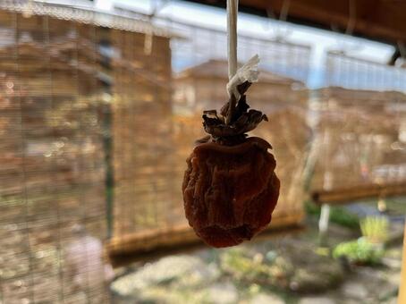 干し柿 干し柿,柿,渋柿の写真素材