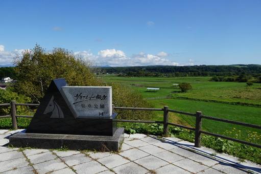 北海道新冠町 サラブレッド銀座 北海道新冠町 サラブレッド銀座 サラブレッド銀座,北海道,牧場の写真素材