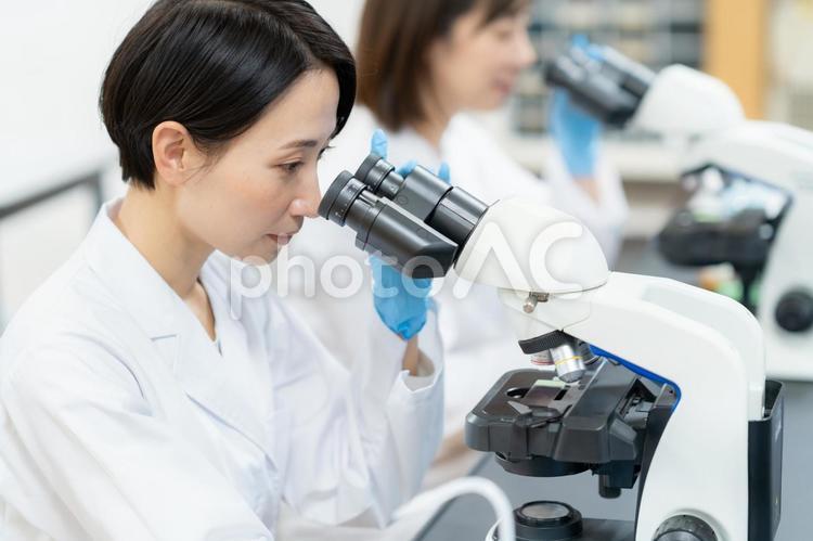 研究所で実験をする研究者 研究,実験,科学の写真素材