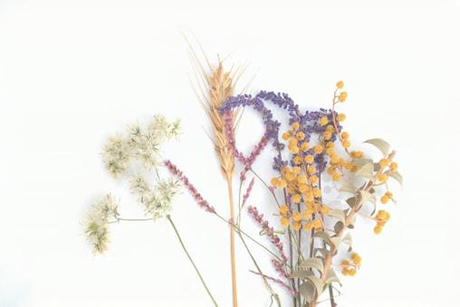 ドライフラワーの背景素材 ドライフラワーの背景素材 ドライフラワー,花,草花の写真素材