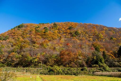 里山の紅葉⑵の写真