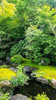 庭園 庭園の写真