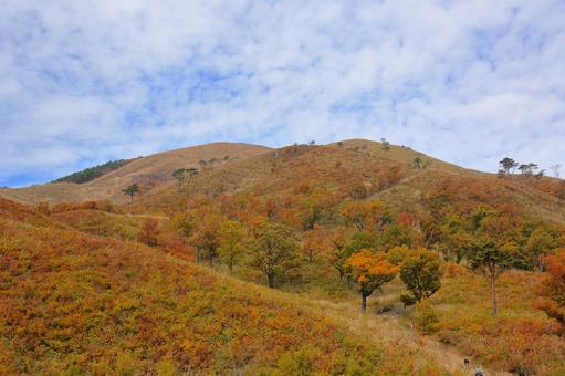 秋の深入山にレクリエーション-5 秋の深入山にレクリエーション-5 秋の山,ススキ,モミジの写真素材