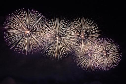 25年長岡まつり 花火 25年長岡まつり 花火の写真