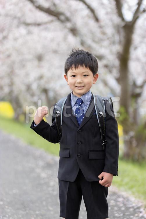 入学式イメージ　新一年生 入学式,小学生,人物の写真素材