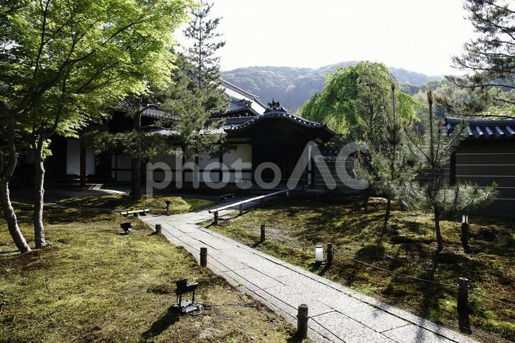 高台寺の風景 京都,日本,アジアの写真素材