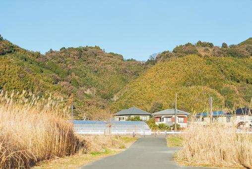山裾に広がる美しいあさはた緑地の風景 草むら,葉,植物の写真素材