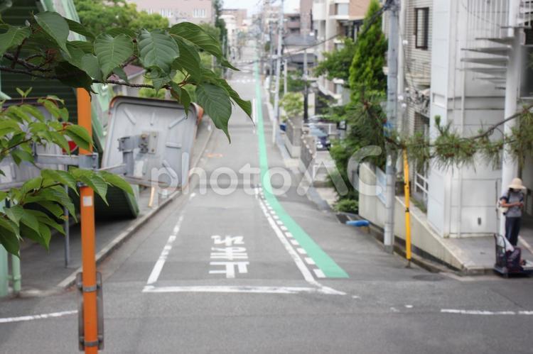 街並みの写真 道,散歩,木の写真素材