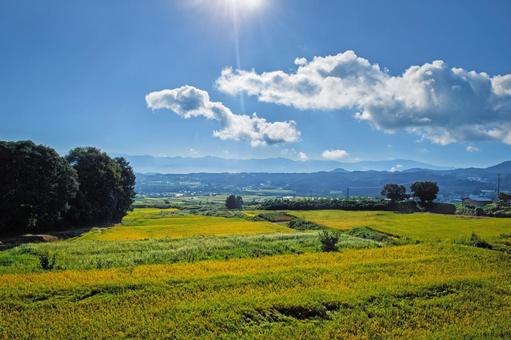 ふるさとの豊かな田園風景 ふるさとの豊かな田園風景の写真