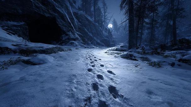 雪深い森林の夜道の写真